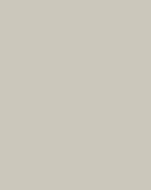 Pannelli decorativi SPC LUX 280x120 cm - Cashmere